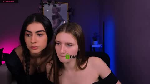 Meow online show from December 15, 10:31 am