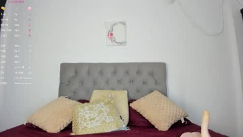 Nicol online show from November 15, 1:17 am