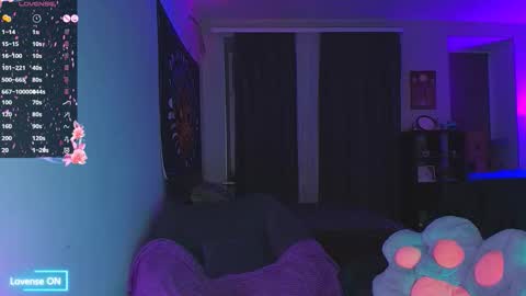 Kitty Nikki online show from November 6, 4:46 pm