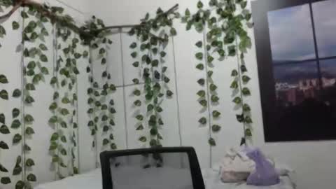 NICOLL online show from April 21, 12:23 pm