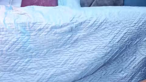 Nicole Leroy online show from March 6, 12:33 pm