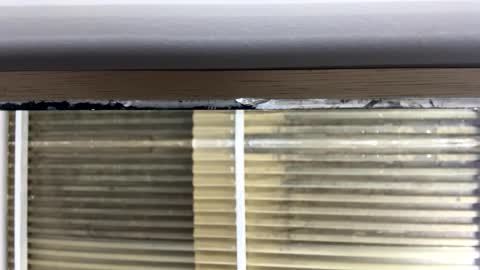 Nikki  online show from October 14, 3:09 am