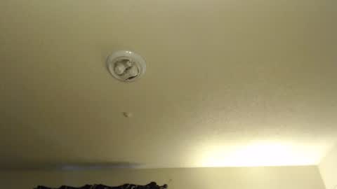 Nikki Mastersgirl1091 online show from January 14, 8:36 pm