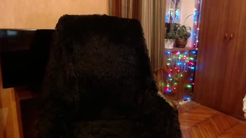 miss Tress online show from January 13, 6:16 pm