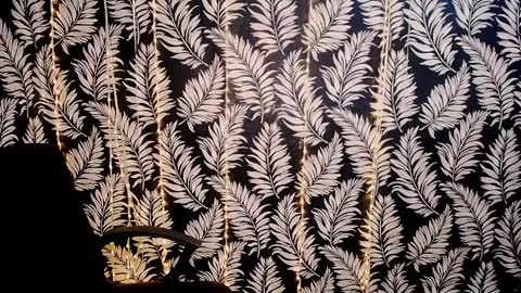 Kelly online show from April 7, 10:39 am