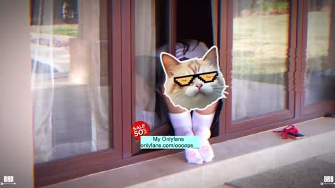 Eva online show from October 28, 4:13 pm