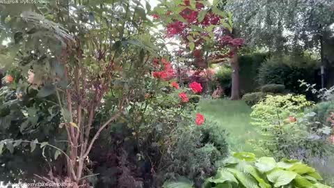 Andreea online show from June 2, 5:19 am