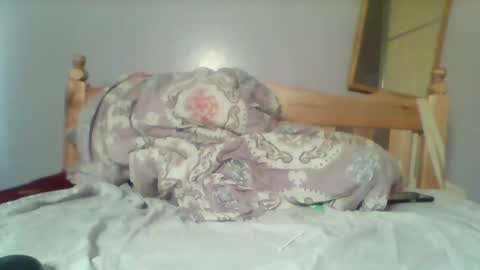 ariana online show from February 14, 9:22 am