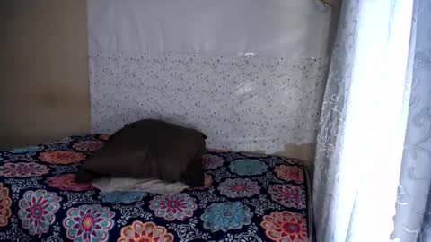 petitesammy online show from June 12, 12:02 pm