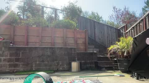 PHOENIX TAYLOR online show from March 8, 7:07 pm