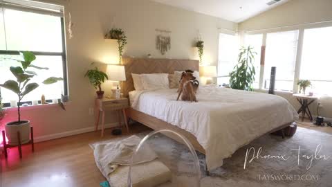 PHOENIX TAYLOR online show from September 25, 12:21 am