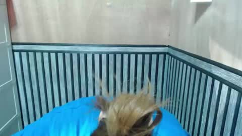 Kate online show from January 12, 5:45 am