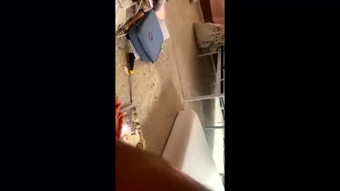 Kourtney online show from November 10, 7:31 pm