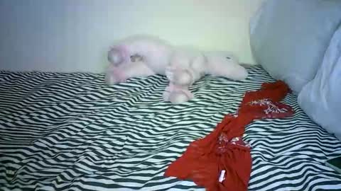 amani online show from January 31, 6:24 am