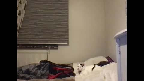 Redfox online show from January 7, 6:44 pm