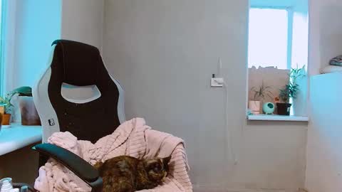 rosa843850 online show from October 4, 2:11 pm