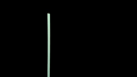 roseaurora online show from November 23, 2:08 pm