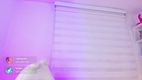   online show from February 4, 11:16 am