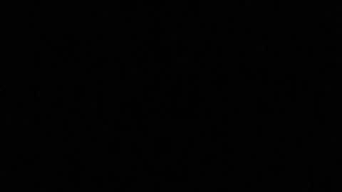 Ruth online show from March 17, 3:54 am