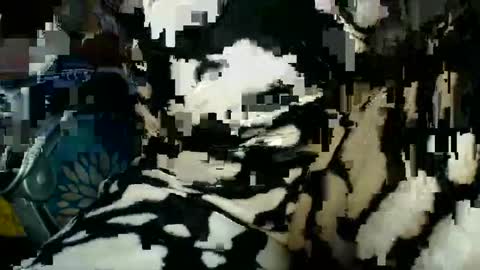 Karina online show from November 11, 1:34 am