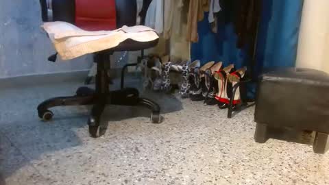 samanta online show from February 3, 11:15 am