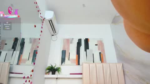 SAM  online show from February 23, 12:41 pm