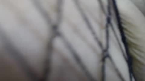 sarita online show from February 19, 4:50 pm