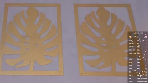 Sara online show from January 30, 12:16 pm