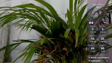 sarah_temptation online show from January 17, 10:06 pm