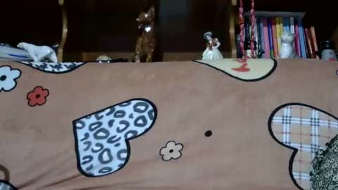 Sarra online show from December 7, 8:27 pm