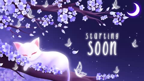 Sassy Sami Kittyn online show from January 20, 6:21 am