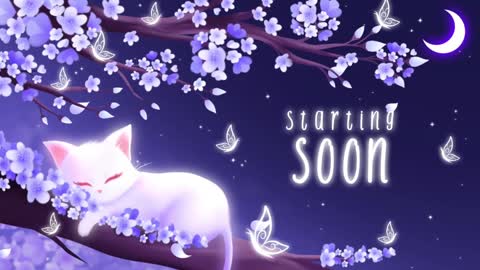 Sassy Sami Kittyn online show from January 3, 6:11 am