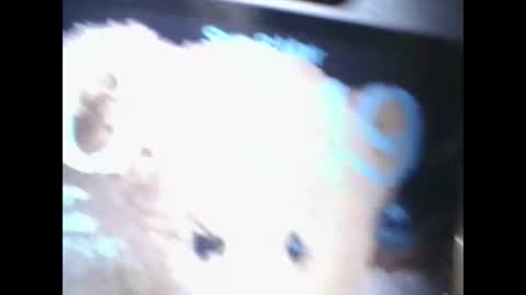 Shaniiice online show from March 8, 4:49 am