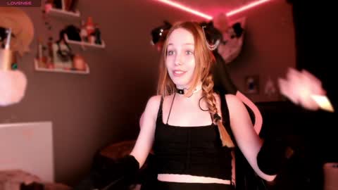 Scarlett Your petite pet online show from December 17, 7:40 am