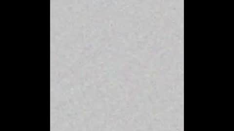 Scolw  online show from December 16, 12:00 pm