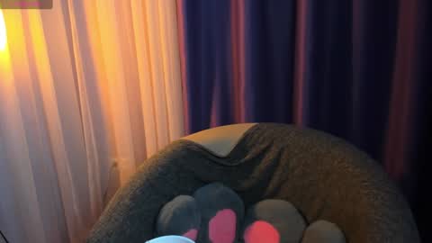 Dana online show from February 5, 4:15 pm