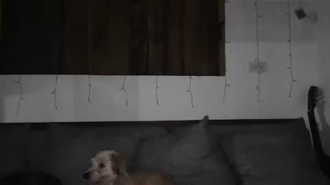 Trixy Rose online show from January 11, 5:41 am