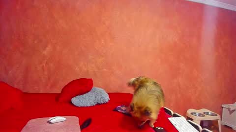 sexy_katherine305 online show from November 23, 1:30 am