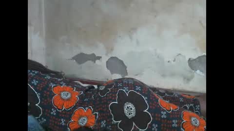 Luna online show from December 16, 5:02 am