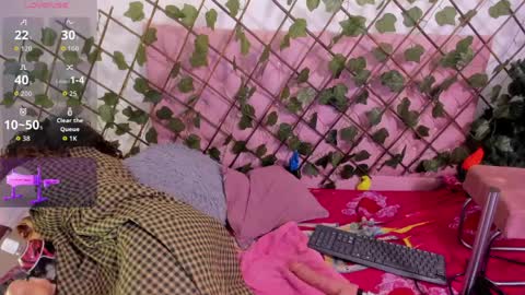 sofia online show from March 31, 6:46 am