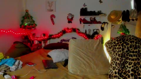 shera hade online show from December 28, 7:33 pm