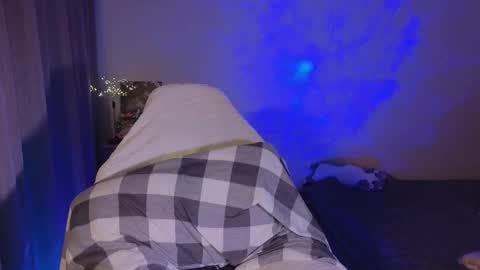 Sheyli online show from February 1, 5:12 pm