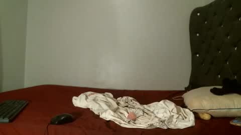 Shi-ro online show from February 7, 10:52 am