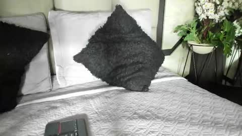 silknyx online show from February 20, 1:23 pm