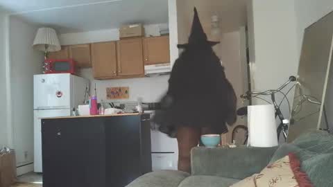 Simin Fox online show from October 31, 7:51 pm