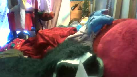 Siofra online show from February 1, 8:29 pm