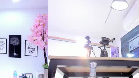 Siouxsie online show from November 1, 12:09 pm