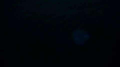 Skarlet online show from October 8, 3:00 am