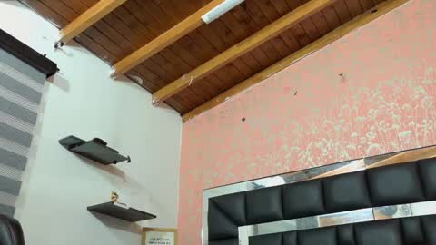 Sofia online show from October 23, 3:01 am