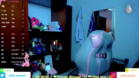 SOFIA online show from January 17, 1:24 am